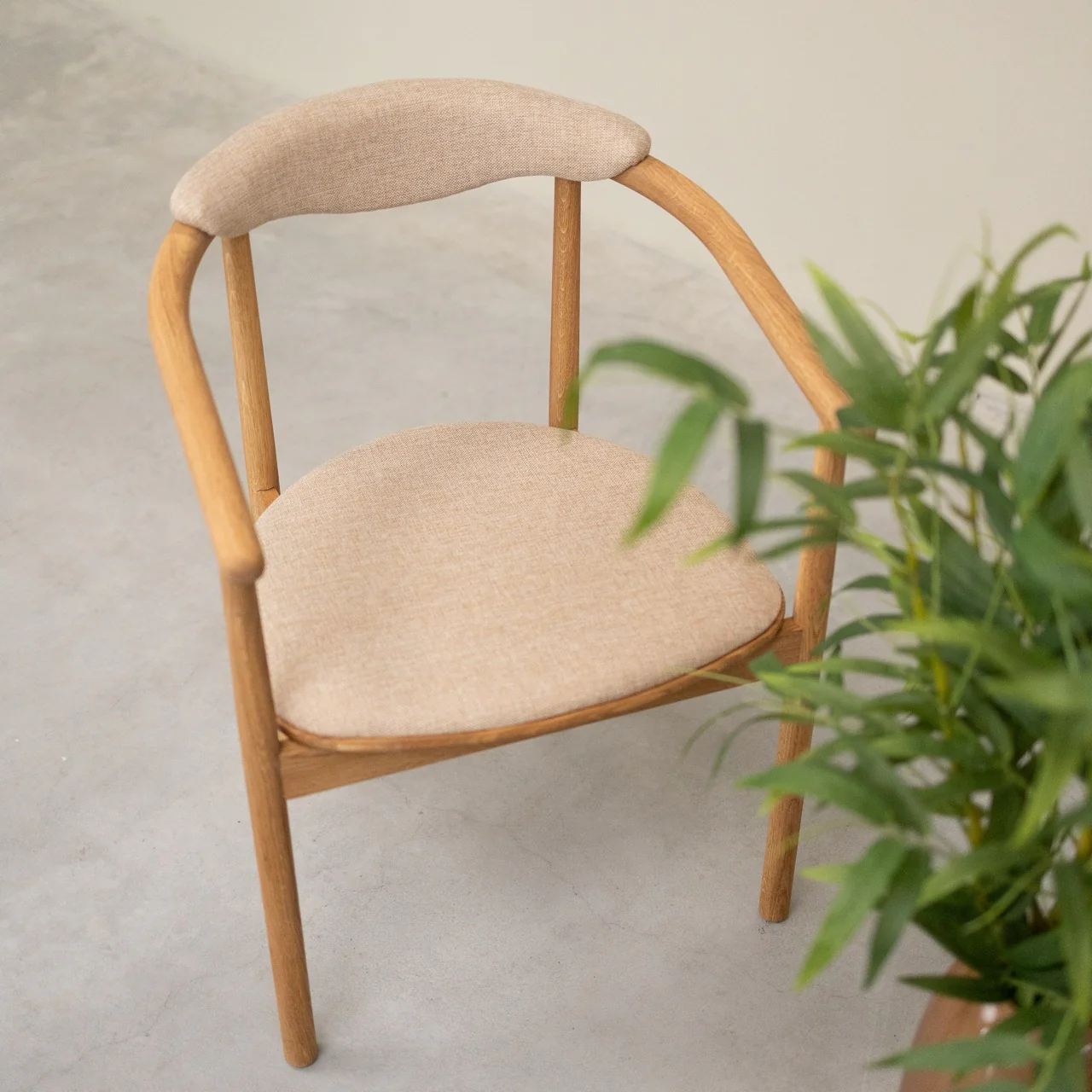 Set van 2 of 4 Lord-eetkamerstoelen, frame van massief eikenhout | NordicStory - Image 9